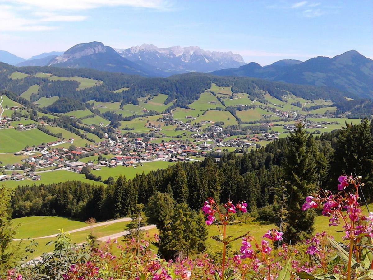 Sonnenalp Bergruhe Apartment Niederau Bagian luar foto