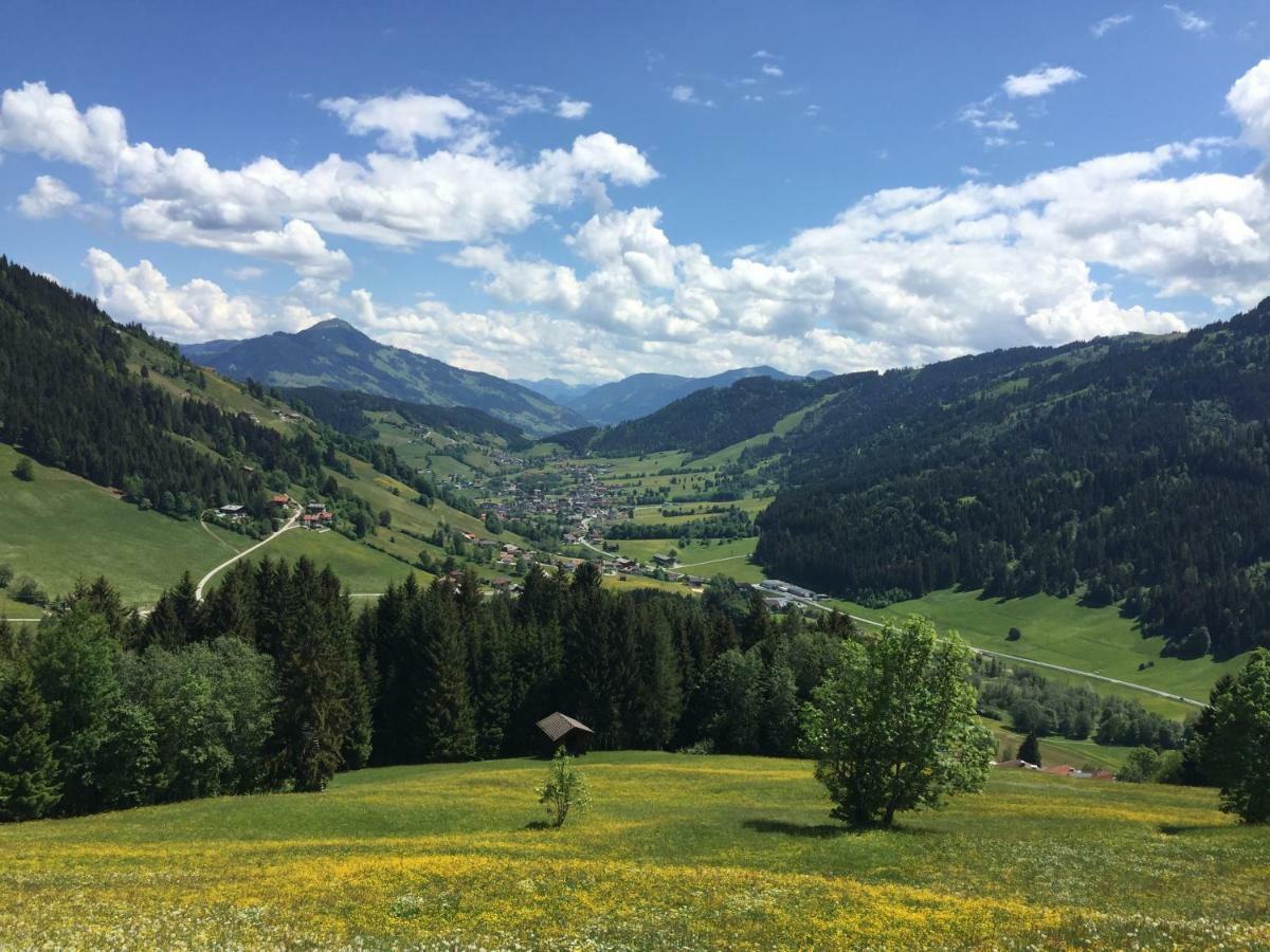Sonnenalp Bergruhe Apartment Niederau Bagian luar foto